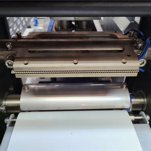 Full servo flow wrapping machine - SZ3000 