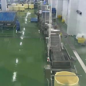 SDL100A Automatic Shrimp Deheading Processing Line