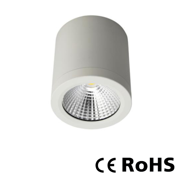 Ceiling spotlights RDL-13