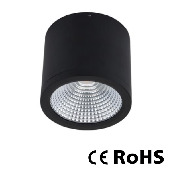 Ceiling mounted spotlight RDL-25