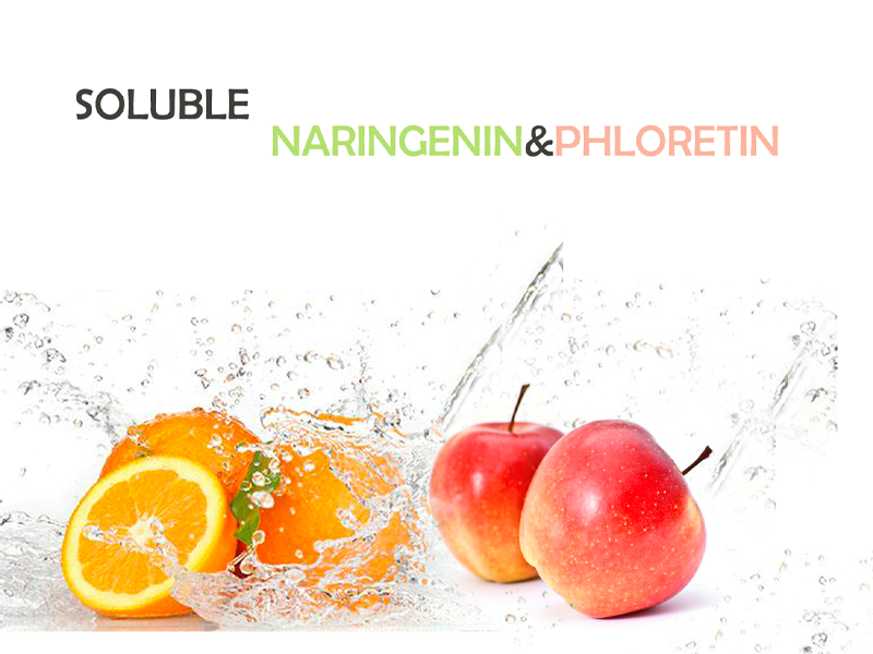 Water Soluble Naringenin