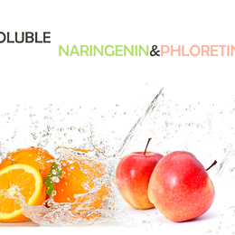 Water Soluble Naringenin