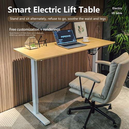 Oche Electric Stand Up Desk Lifting Table