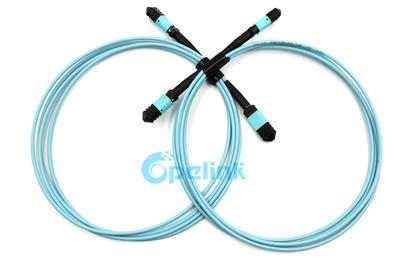12 Fibers MPO Patchcord: MPO/MTP Trunk Cable Multimode 10G OM3 Fiber Optic Patch Cord