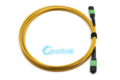 12 Fibers MPO Trunk Cable: MPO/MTP OS2 Singlemode Fiber Optic PatchCord, Singlemode LSZH, Yellow