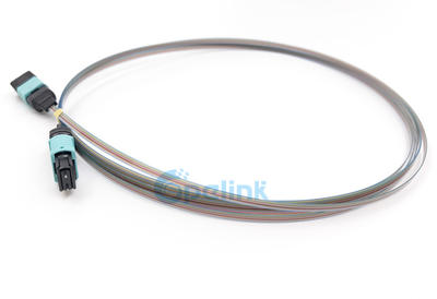MPO Ribbon Cable: MPO to MPO Fiber Optic PatchCord, 10G OM3 Multimode, 12 Fibers Bare Ribbon