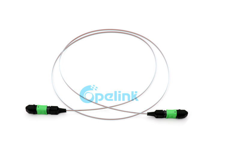 MPO Fiber jumper: 12 Fibers Bare Ribbon MPO to MPO Fiber Optic Patch Cables, Singlemode