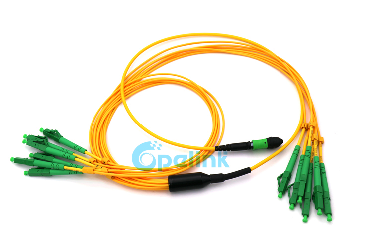 MPO LOOP 50/125 FXL-OC0008 Type Details about   FXL-CO0009 Fiber Optic Patchcord Cable FIB 