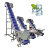 The Advantages of Frozen Food Belt Conveyors: A Path to Efficiency and Quality