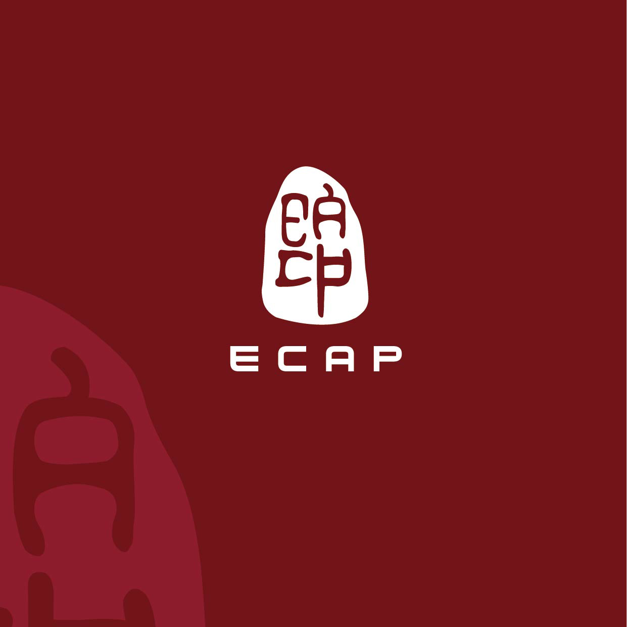 你知道ECAP技术吗