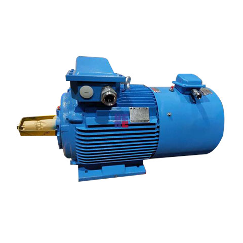 Variable frequency speed adjustable induction motor