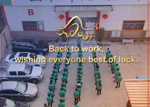 Back to work from 2021 China lunar new year holiday