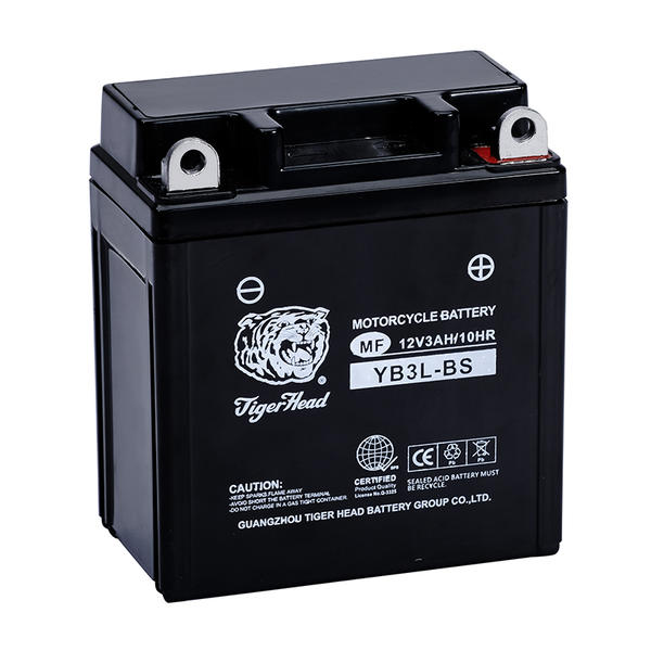 MOTORCYCLE BATTERY YB3L-BS