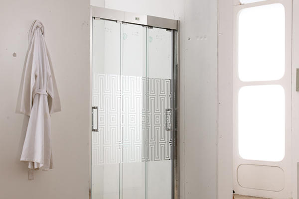   Famous brand high-quality sanitary grade shower door LBS523-6