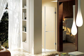    Famous Brand High-Quality Sanitary Grade Shower Door  LB02-008
