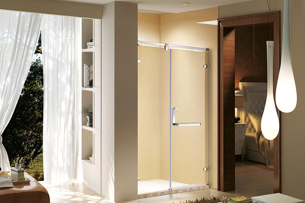   Famous Brand High-Quality Sanitary Grade Shower Door  LB05-008