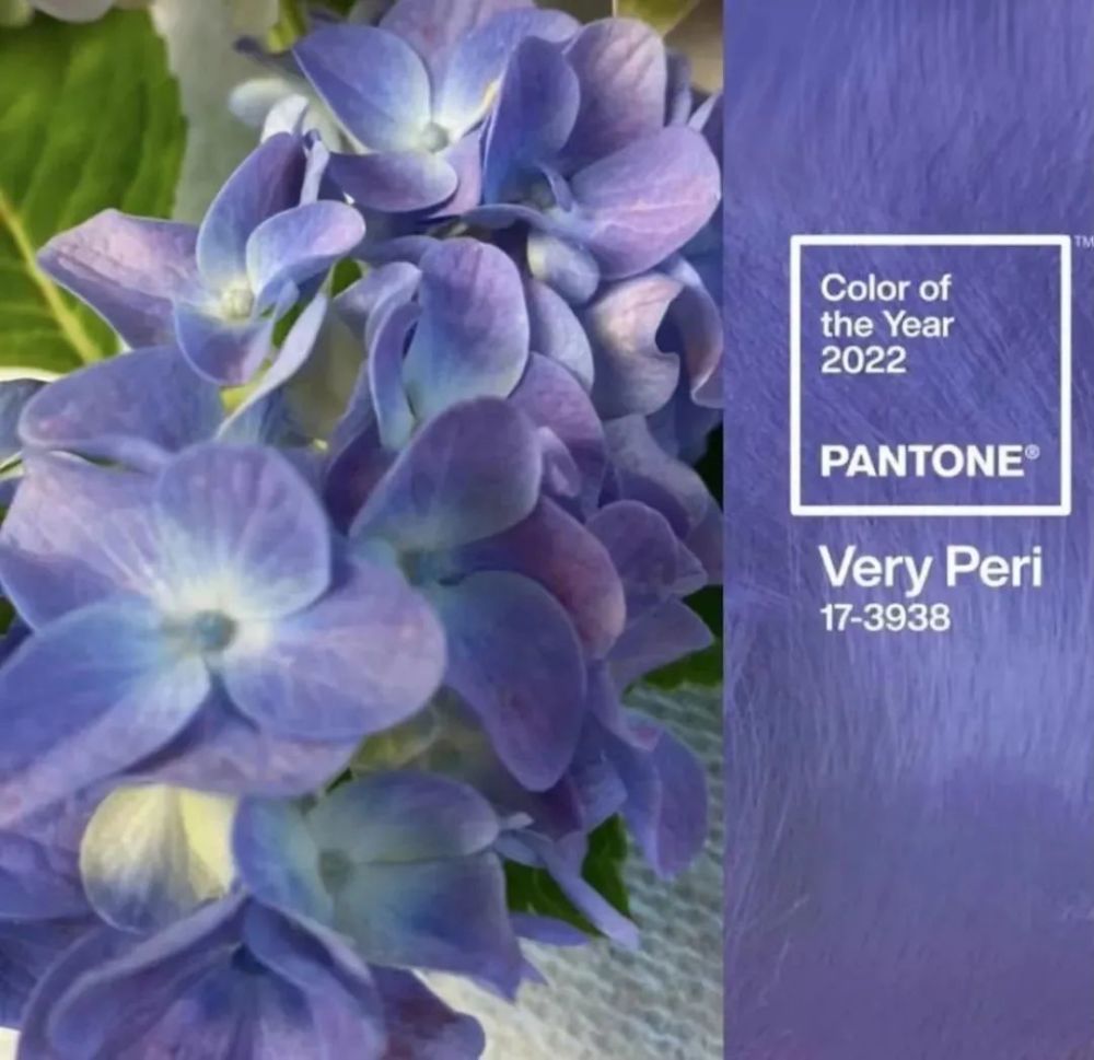 | thẻ màu Lấy cảm hứng từ Metaverse? Pantone phát hành màu sắc thời trang năm 2022