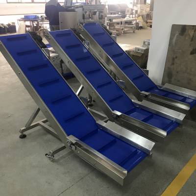 plastic conveyor belt | Blue Belt Conveyor With Plastic Belt Small Conveyor Belt System