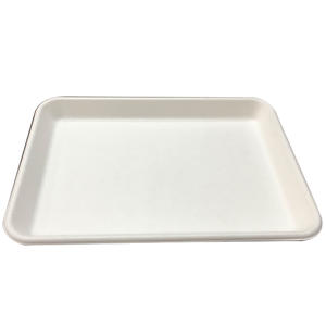 245 mm Biodegradable Disposable Sugarcane Dinner Set Food Packaging Tray