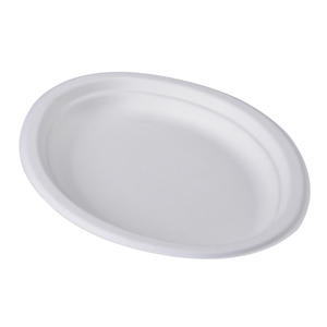 biodegradable tableware | 10 Inch Biodegradable Disposable Sugarcane Bagasse Oval Plate