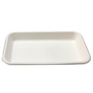 195 mm Biodegradable Disposable Sugarcane Dinner Set Food Packaging Tray