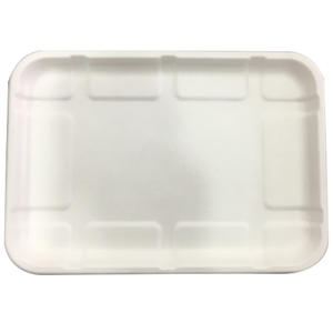 242 mm Biodegradable Disposable Sugarcane Dinner Set Food Packaging Tray