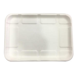 217 mm Biodegradable Disposable Sugarcane Dinner Set Food Packaging Tray