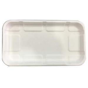 218 mm Biodegradable Disposable Sugarcane Dinner Set Food Packaging Tray