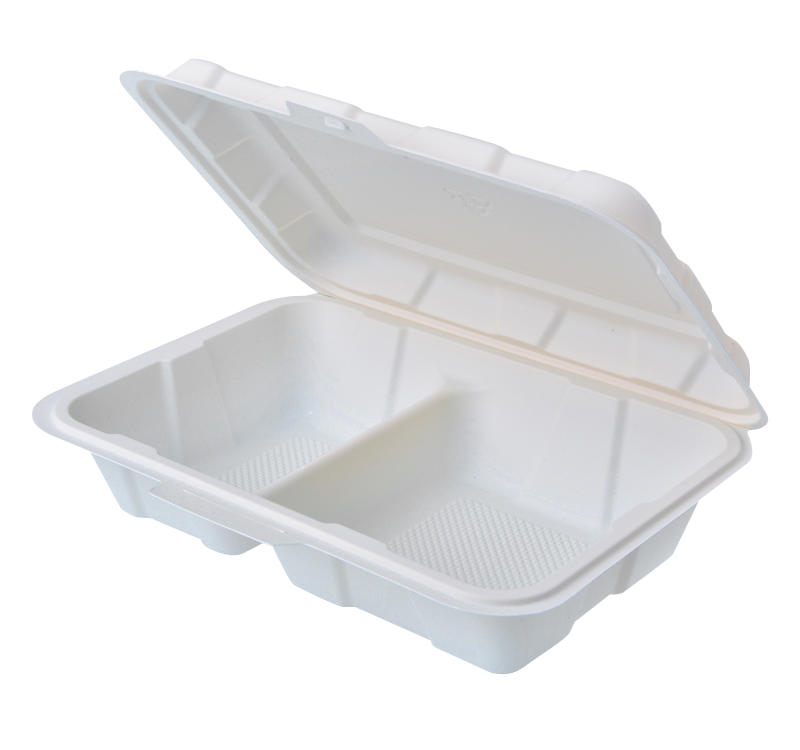 2 Compartments Biodegradable Dinner Set 9x6 inch Corn Starch Food Packaging 