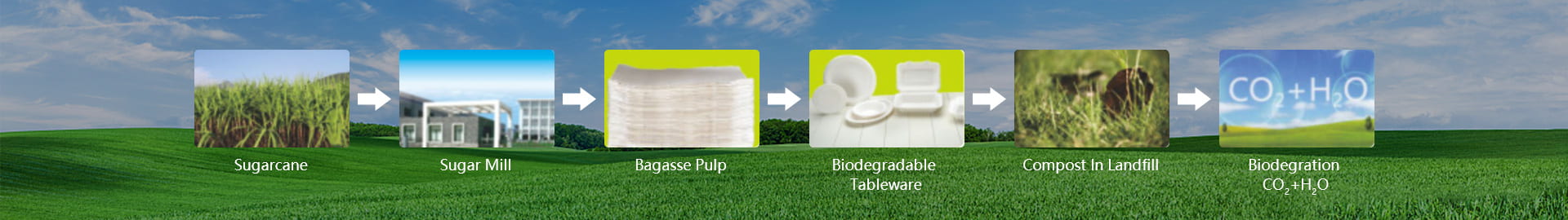 90 mm Biodegradable Compostable Tableware Dinner Set PLA Cup Lid