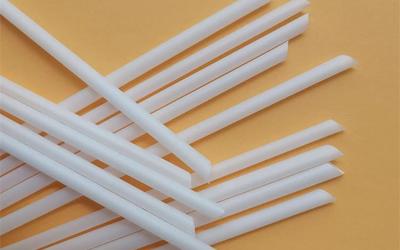 Why did biodegradable PLA straws become popular?