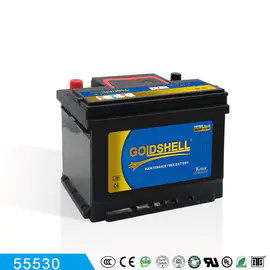 GOLDSHELL MF Batterie de voiture 55530 12V60AH