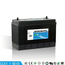 DYVINITY MF Batterie de voiture G31 12V90AH / 100AH