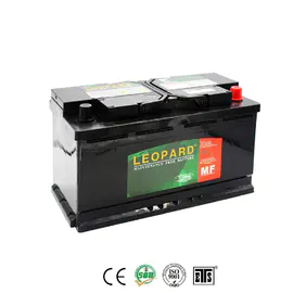 Fournisseur et fabricant de batteries de voiture Leopard MF 60038 12V100AH