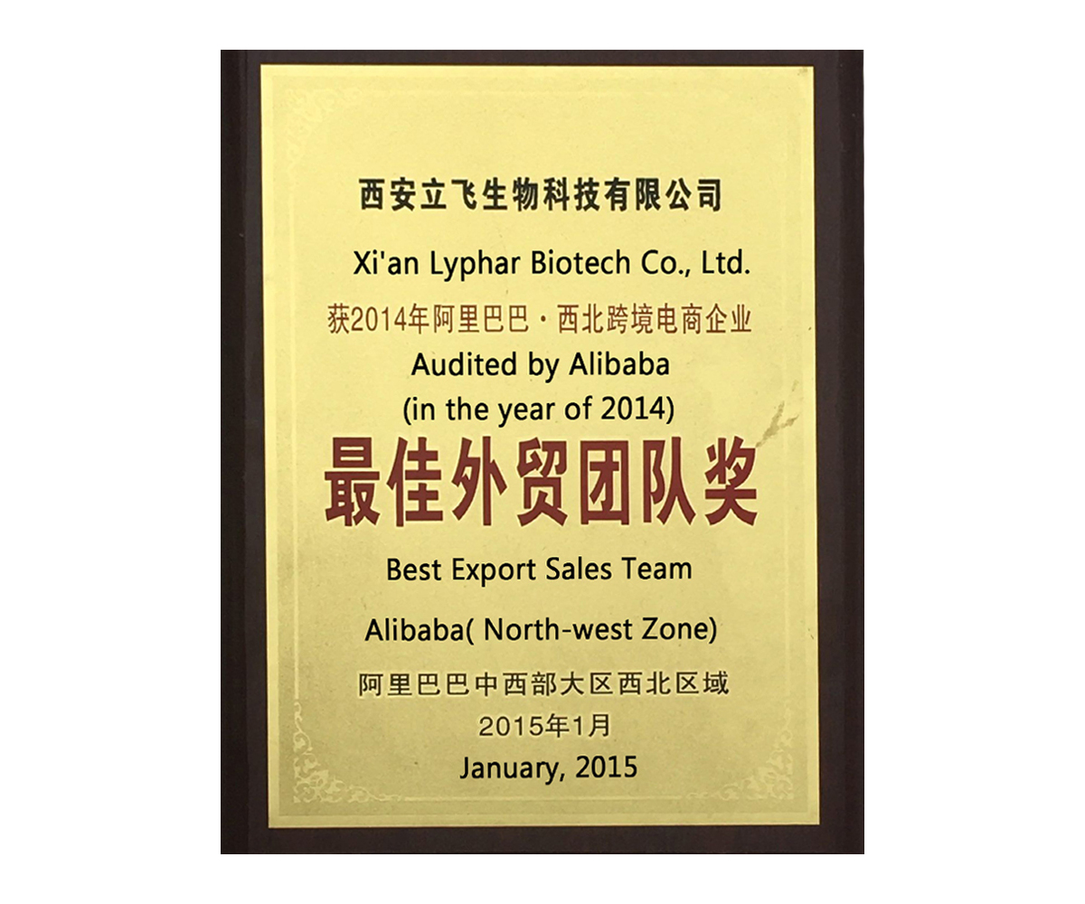 Best foreign trade team translation