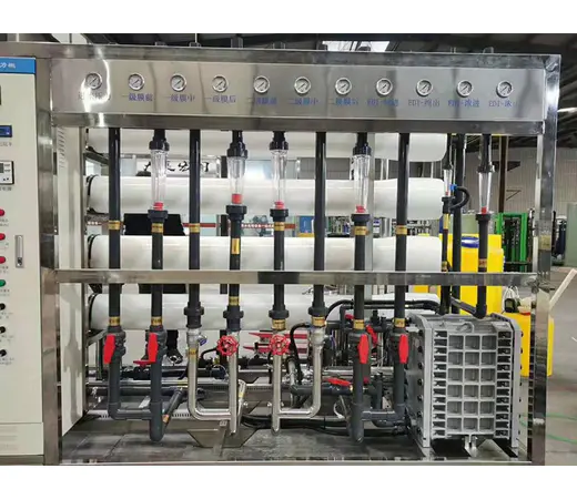 200LPH EDI Salt Sea Water Treatment Desalination Electric Plant Brackish Desalinate Ro System Machine 