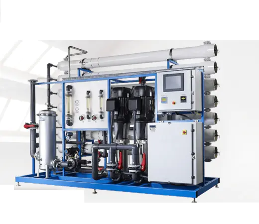 200LPH EDI Salt Sea Water Treatment Desalination Electric Plant Brackish Desalinate Ro System Machine 