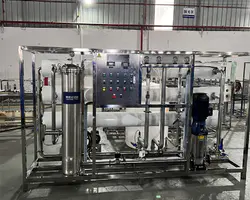 Stark 6000LPH stainless ssteel water treatment reverse osmosis pure water equipment