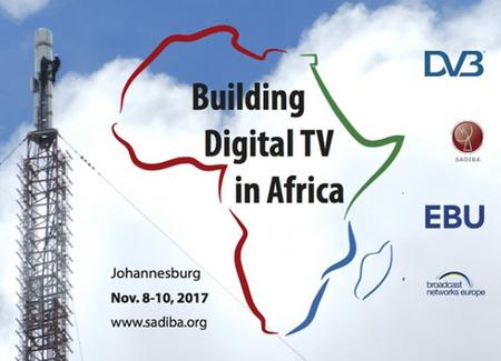 Building Digital TV in Africa
