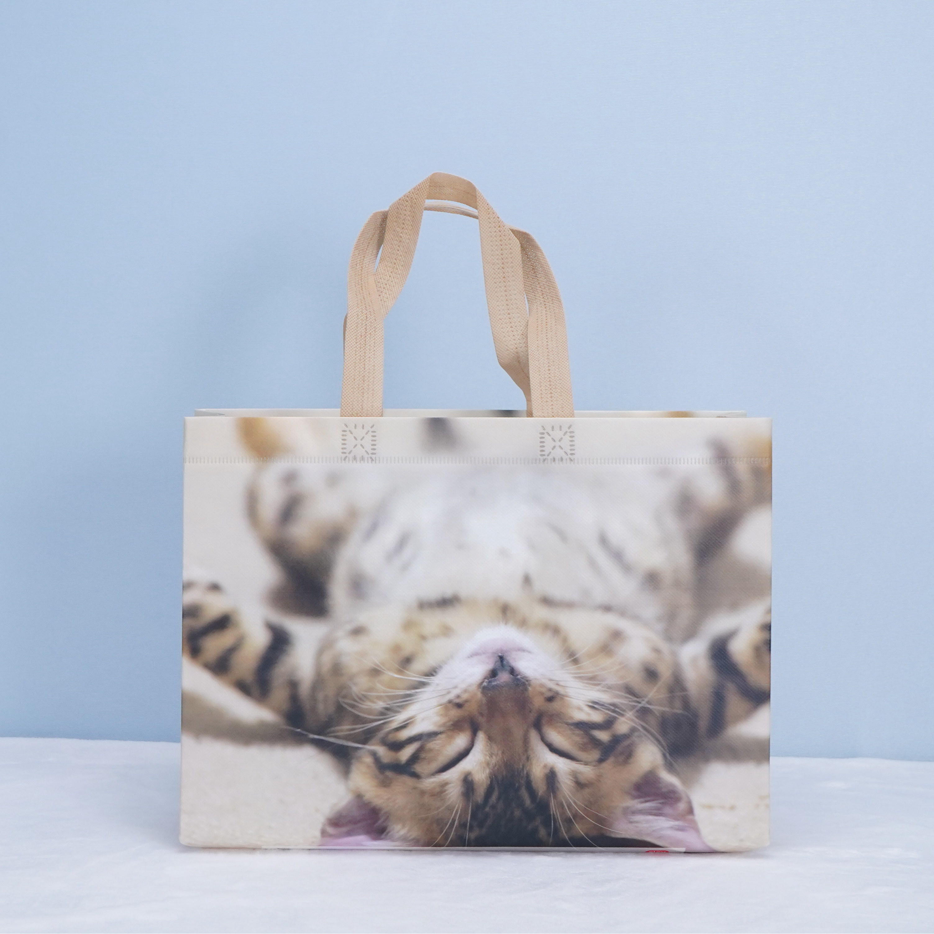 PP laminated sweet cat small PP non woven tote carry bag
