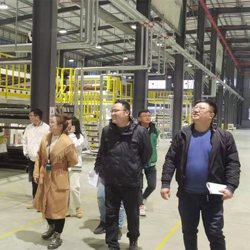Green Valley Message | The delegation of Ningguo Municipal Committee visited Green-Valley for inspection