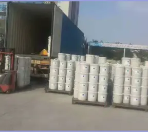 carico container