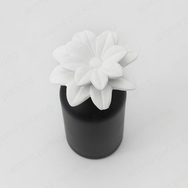 Hot Sale Matte Black Glass Diffuser Bottle With Gypsum Diffuser For Home Deco