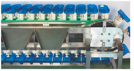 Linear Rotary Multi-stage Check Weigher packaging machine for fish noodles shrimp