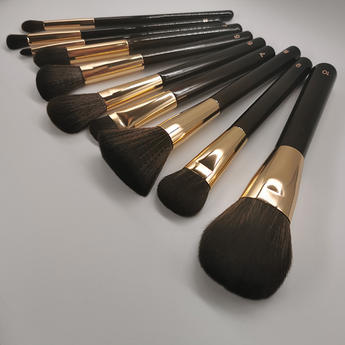 Black and Gold 10 Brushes Set