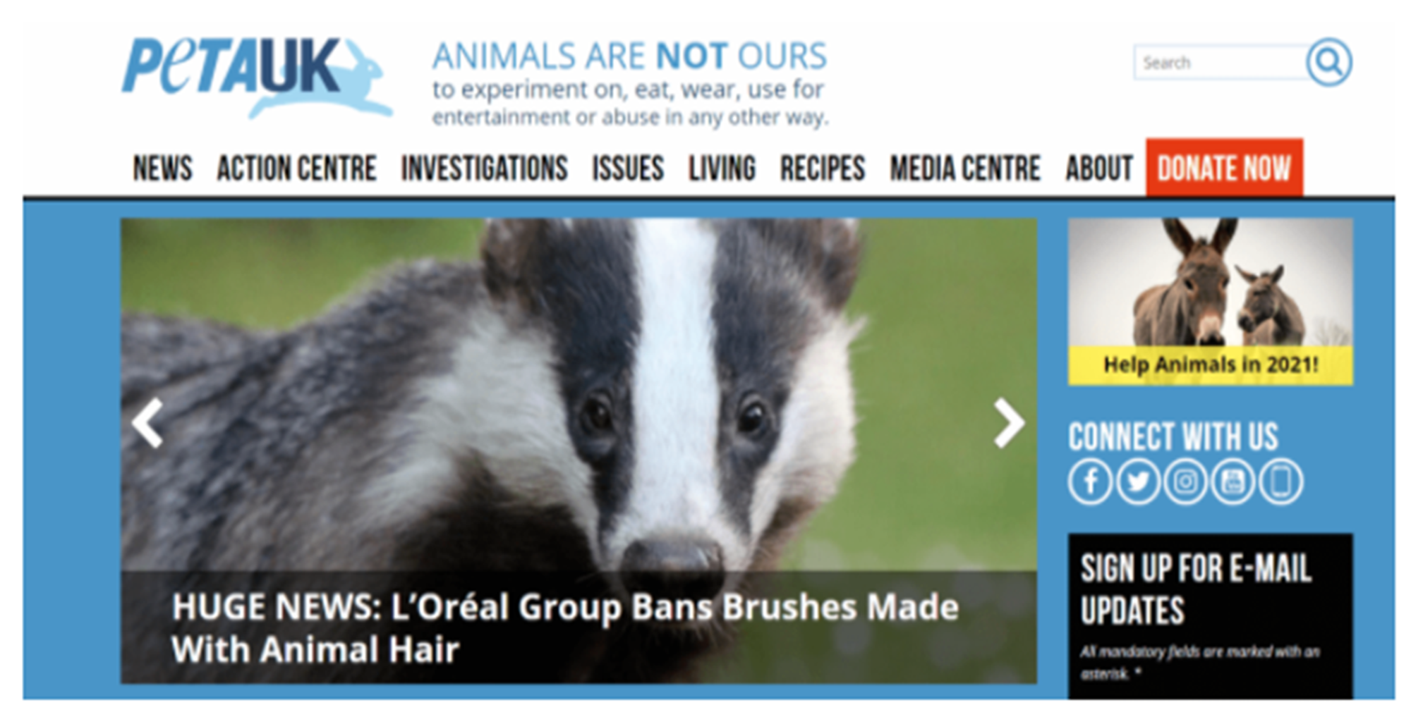Say "no" to animal hair!! Major brands will stop producing animal brushes
