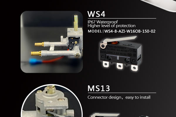 DONGNAN Electronics|Micro switch assembly for garbage disposal