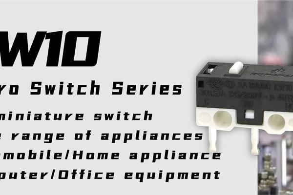 DONGNAN// KW10 Micro Switch Series