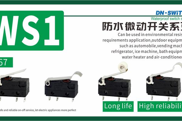 DONGNAN//WS1 Waterproof Micro Switch