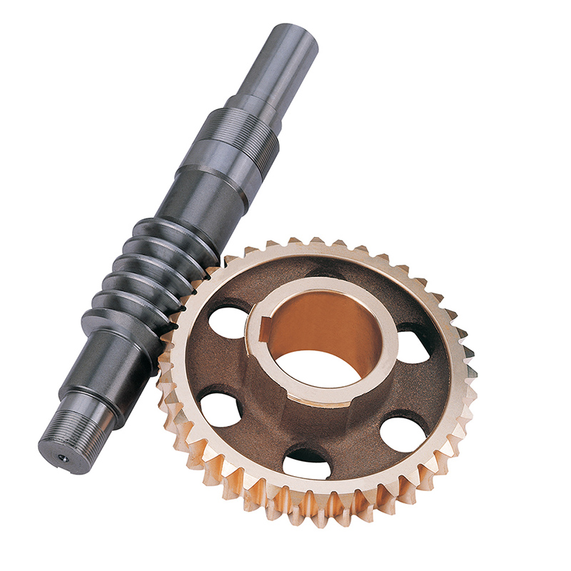 Worm Shaft and Worm Gears